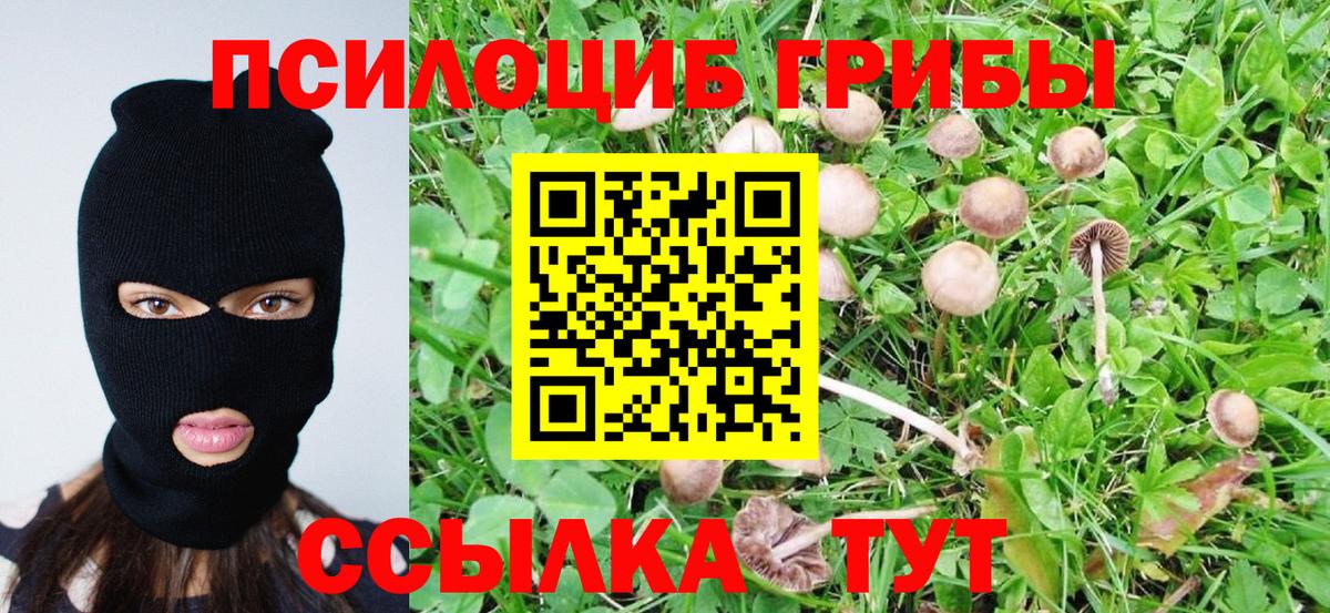 Галлюциногенные грибы GOLDEN TEACHER Ирбит